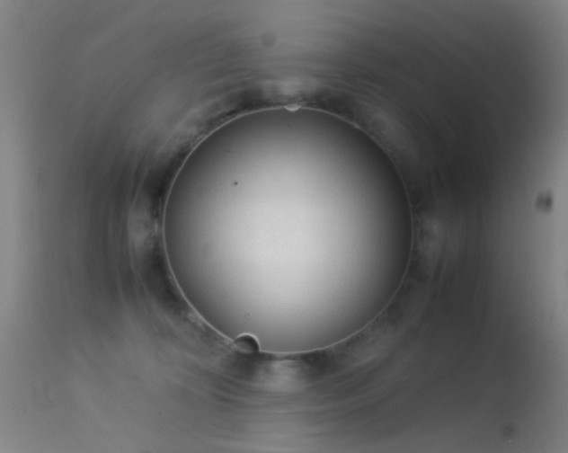 X0000113240324200909171608