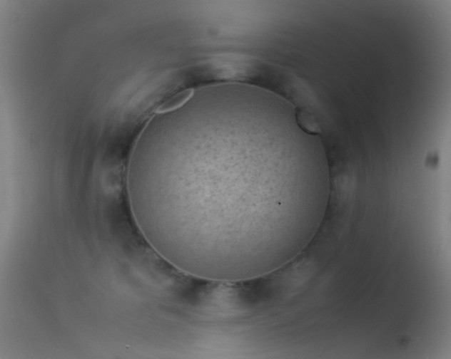 X0000113240325200909171608