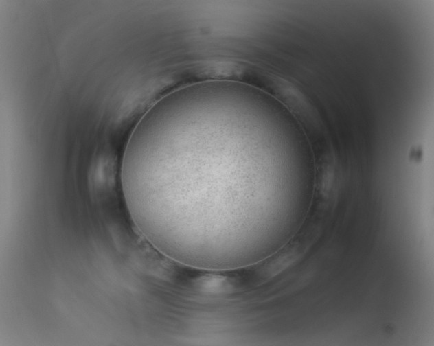 X0000113240326200909171608