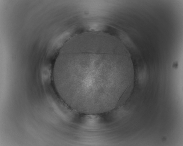 X0000113240328200909171608