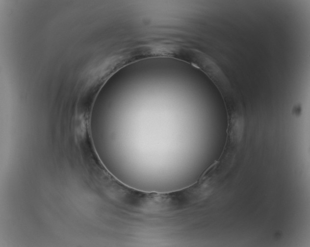 X0000113240329200909171608