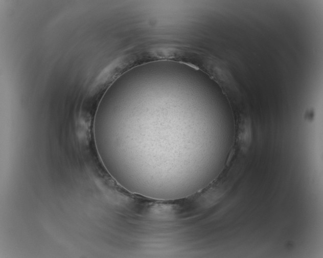 X0000113240332200909171608