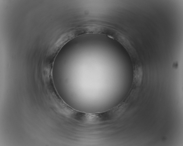 X0000113240333200909171608