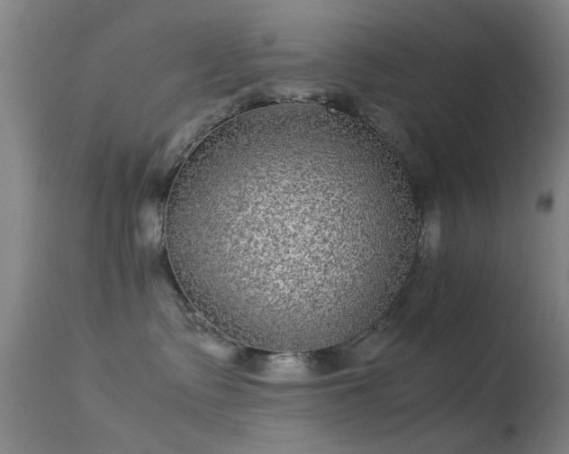 X0000113240335200909171608