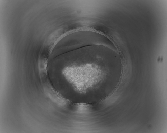 X0000113240336200909171608