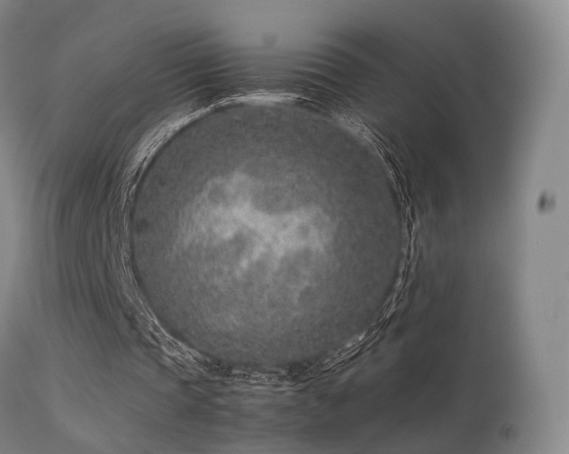 X0000113240337200909171608