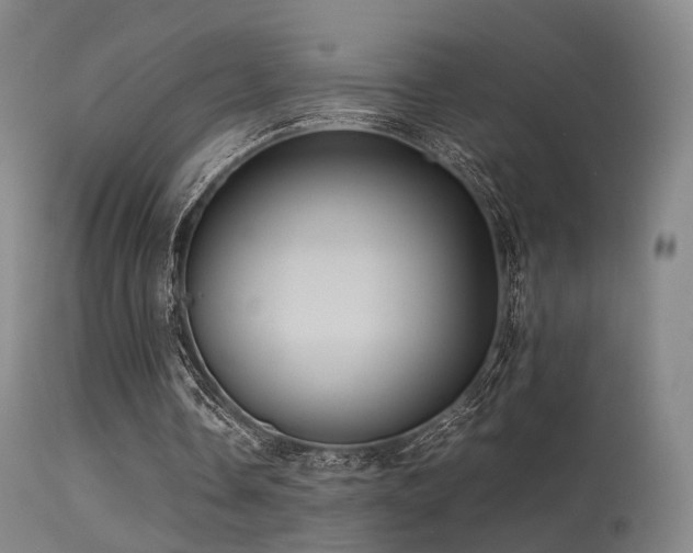 X0000113240338200909171608