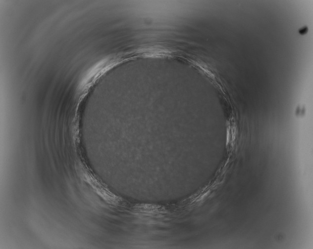 X0000113240339200909171608