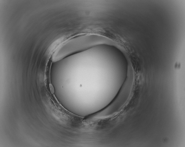 X0000113240340200909171608