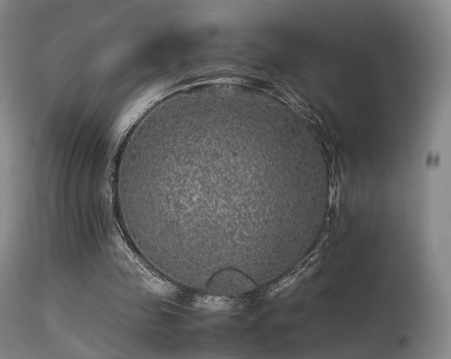 X0000113240341200909171608