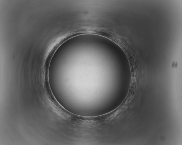 X0000113240342200909171608