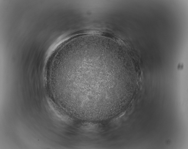 X0000113240343200909171608