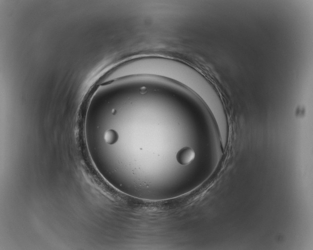 X0000113240344200909171608