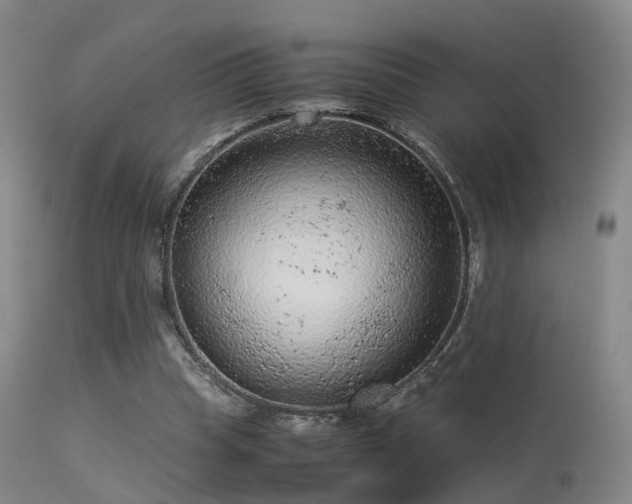 X0000113240345200909171608