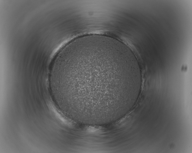 X0000113240346200909171608