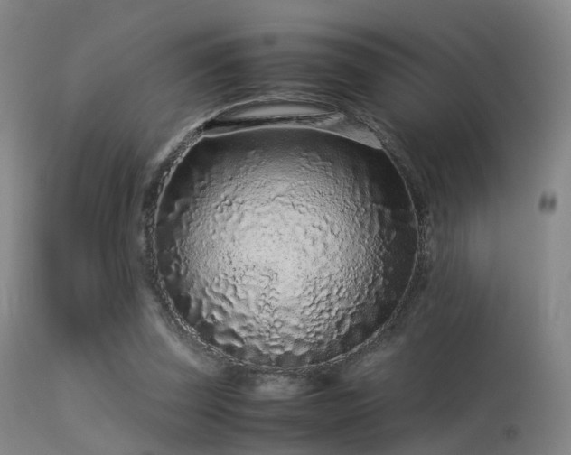 X0000113240347200909171608