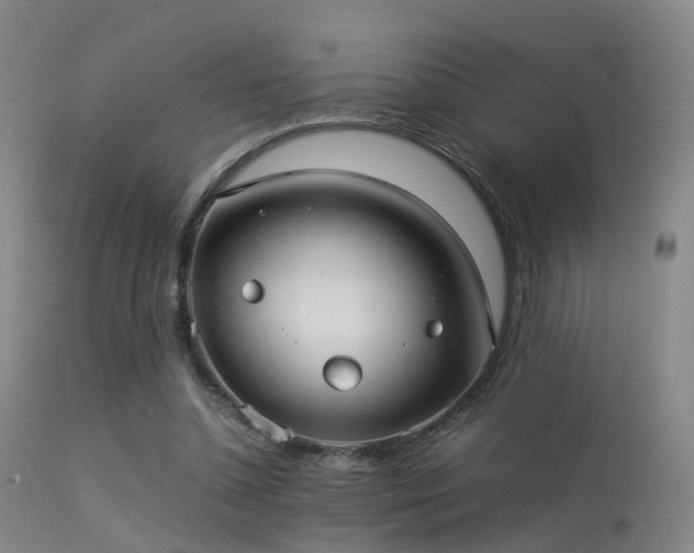 X0000113240348200909171608