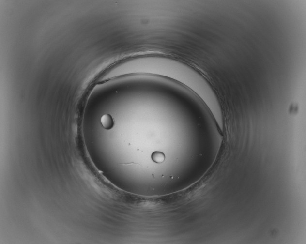 X0000113240350200909171608