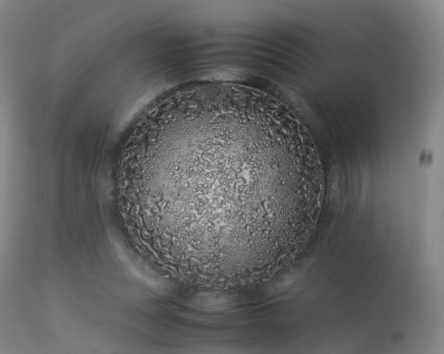 X0000113240351200909171608