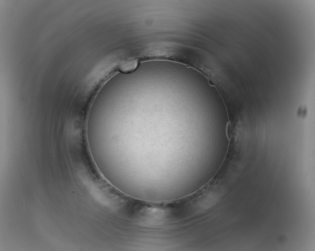 X0000113240352200909171608