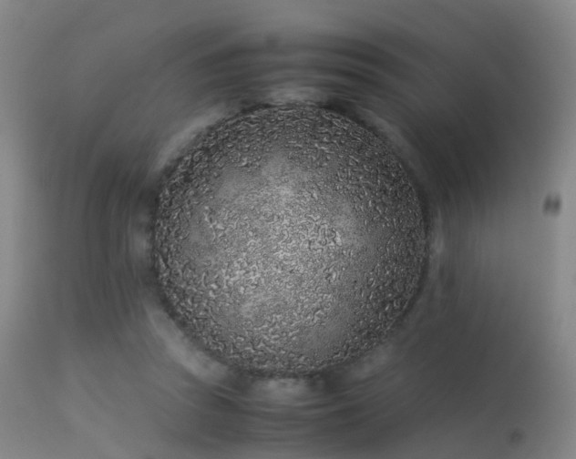 X0000113240353200909171608