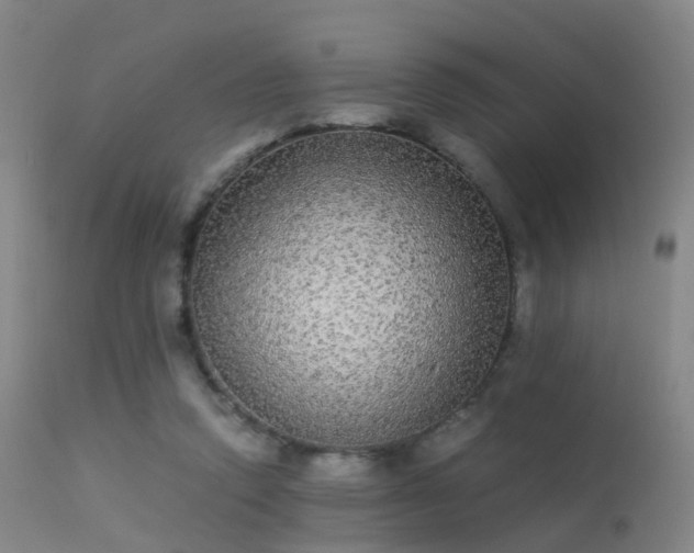 X0000113240354200909171608