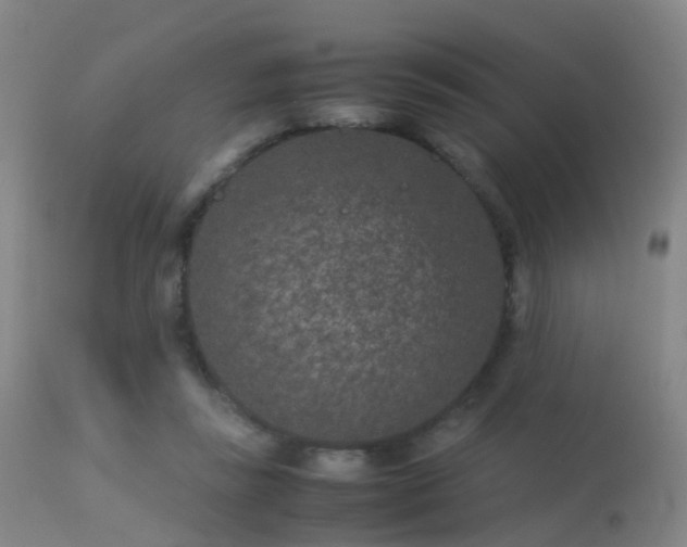 X0000113240355200909171608