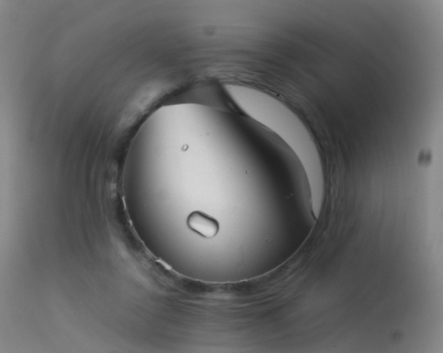 X0000113240356200909171608