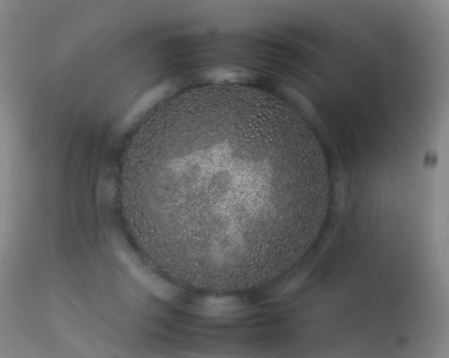 X0000113240357200909171608