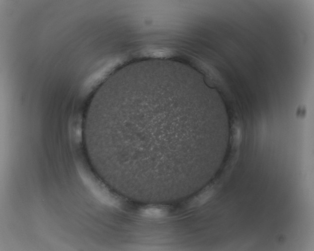 X0000113240358200909171608