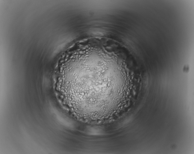 X0000113240359200909171608