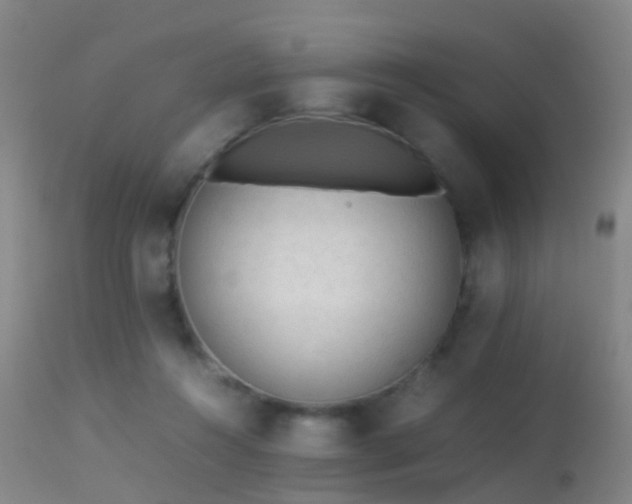 X0000113240360200909171608