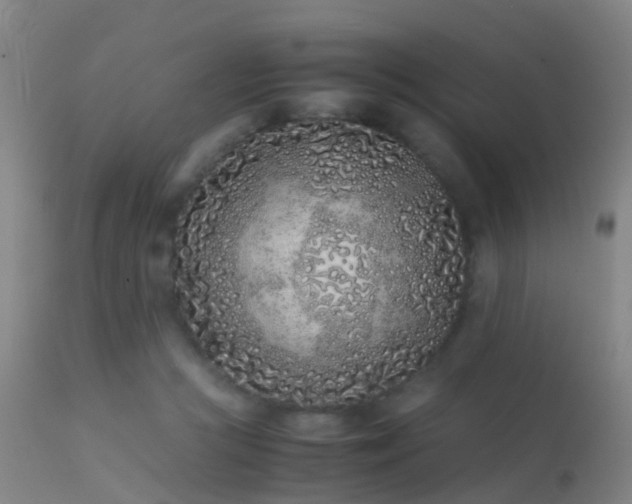 X0000113240361200909171608