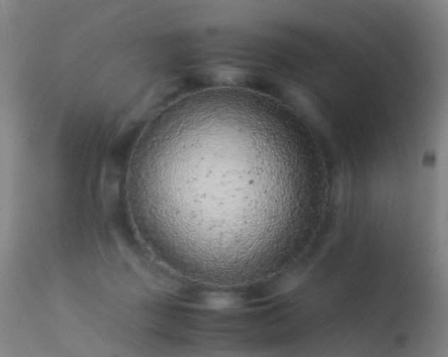 X0000113240363200909171608