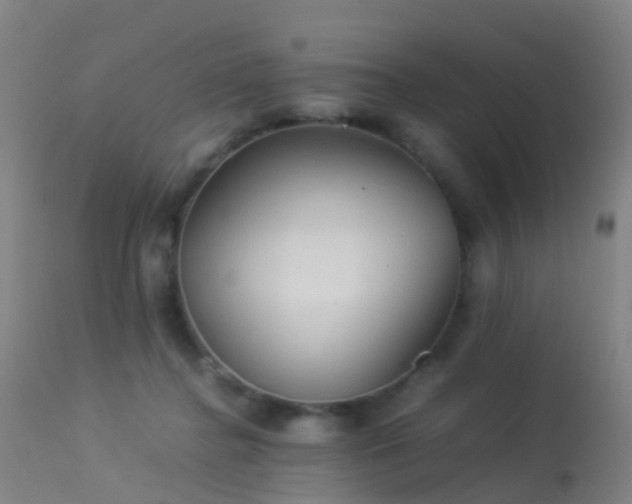 X0000113240364200909171608