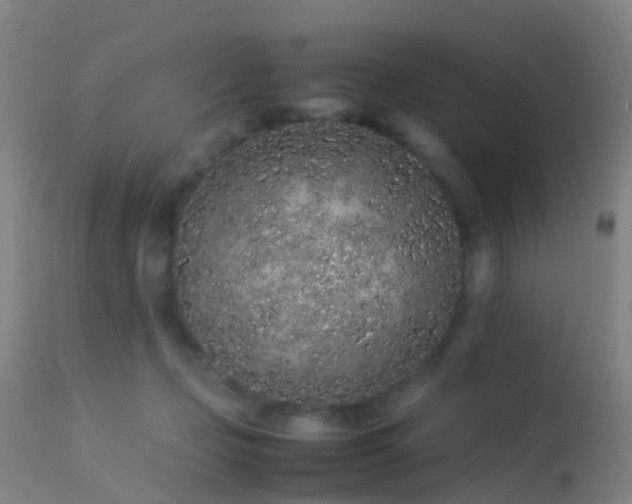 X0000113240365200909171608