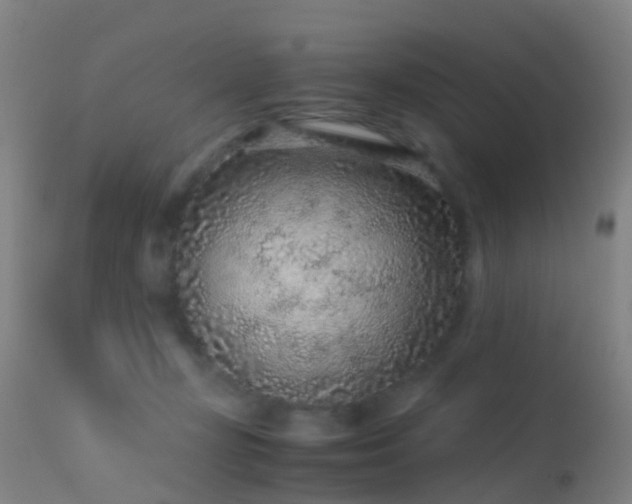 X0000113240367200909171608