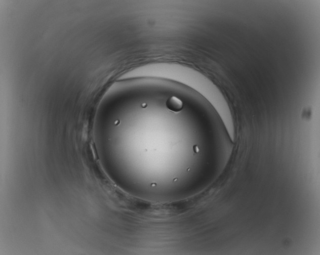 X0000113240368200909171608