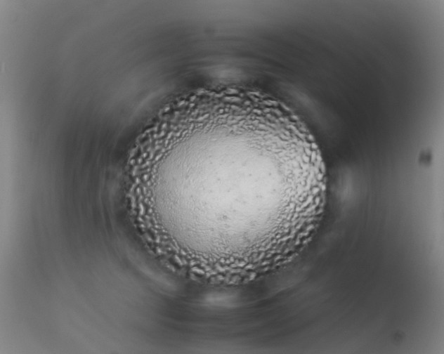 X0000113240369200909171608