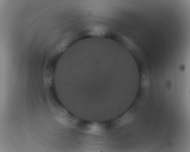 X0000113240370200909171608