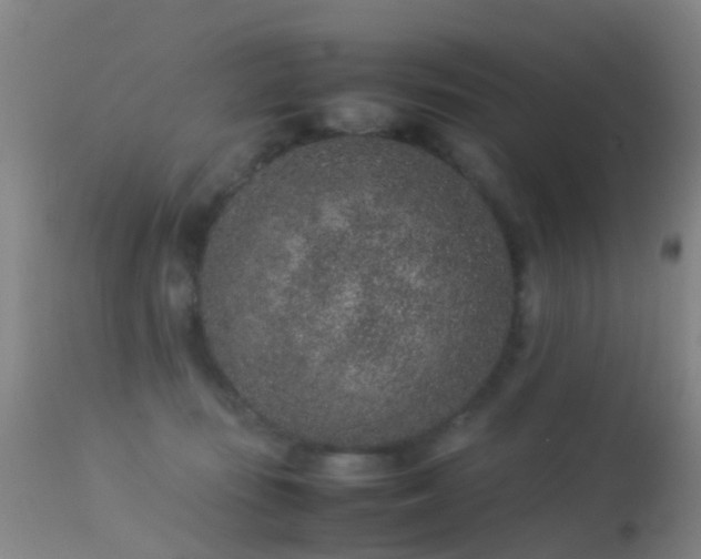 X0000113240371200909171608