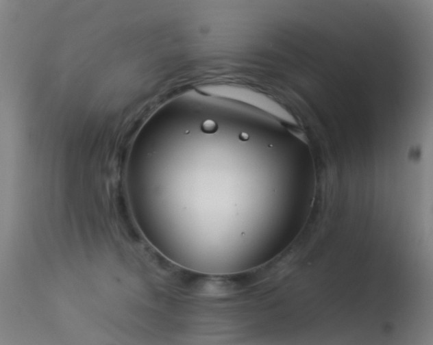 X0000113240372200909171608