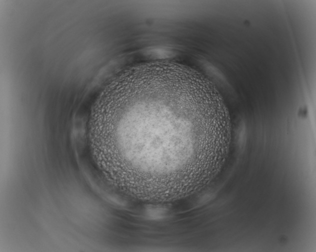 X0000113240373200909171608