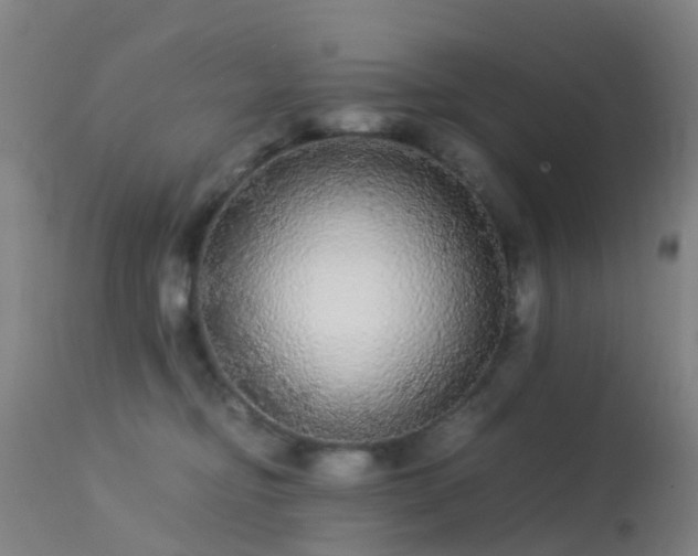 X0000113240374200909171608