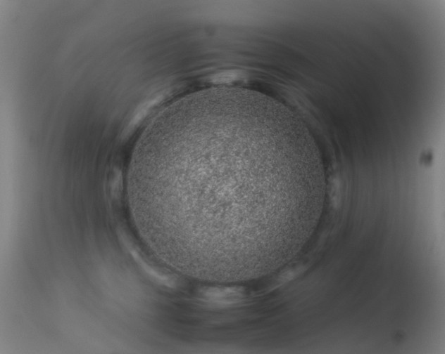 X0000113240375200909171608