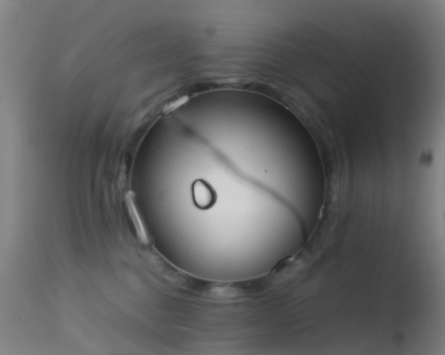 X0000113240376200909171608