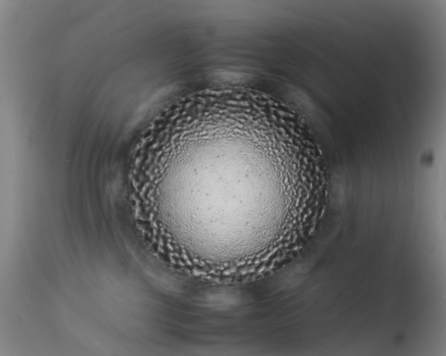 X0000113240377200909171608