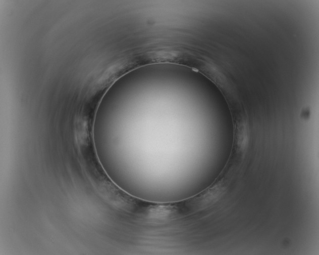 X0000113240378200909171608