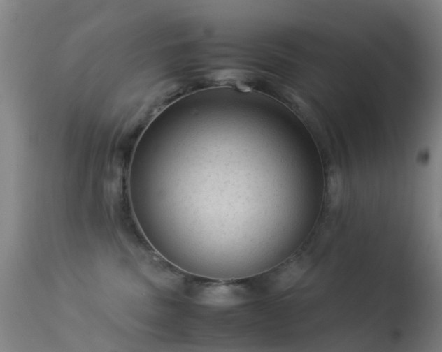 X0000113240379200909171608