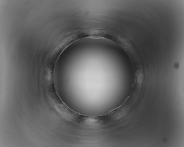 X0000113240380200909171608